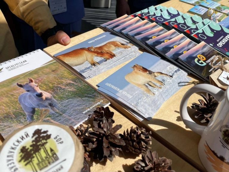    Оренбургская делегация отправится на туристический форум Мария Чалкина