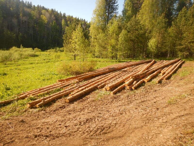    Фото: Сайт Главного управления МВД России в Пермском крае Ульяна Бажанова