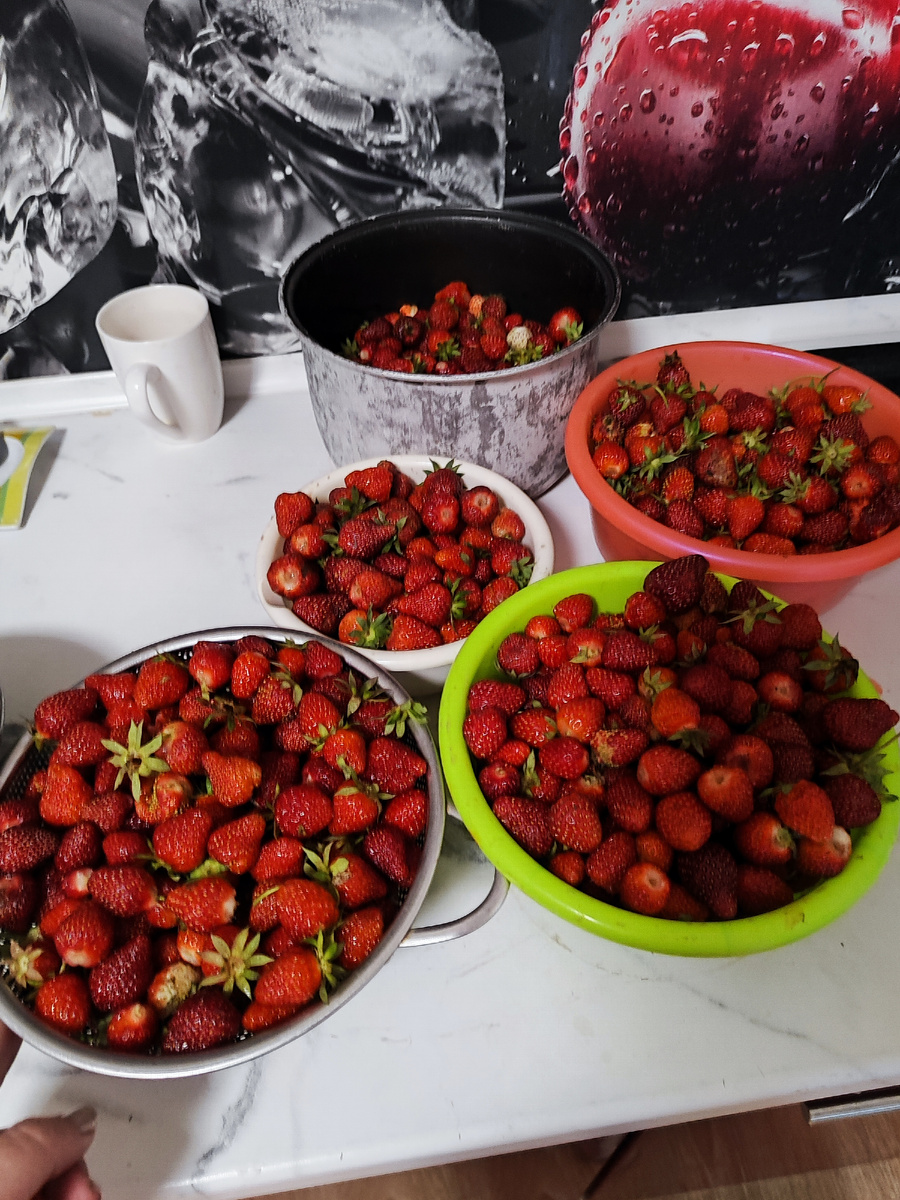 Кадр из влога