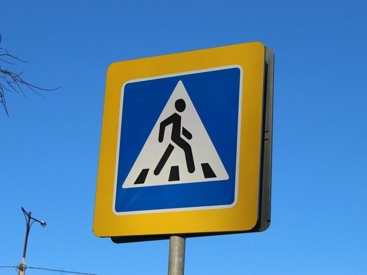     Фото: МК в Вологде.