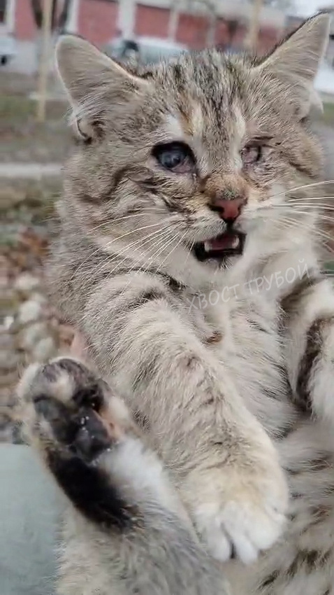 На фото изменена цветокоррекция, чтобы дзен не очень сильно переживал за контент.