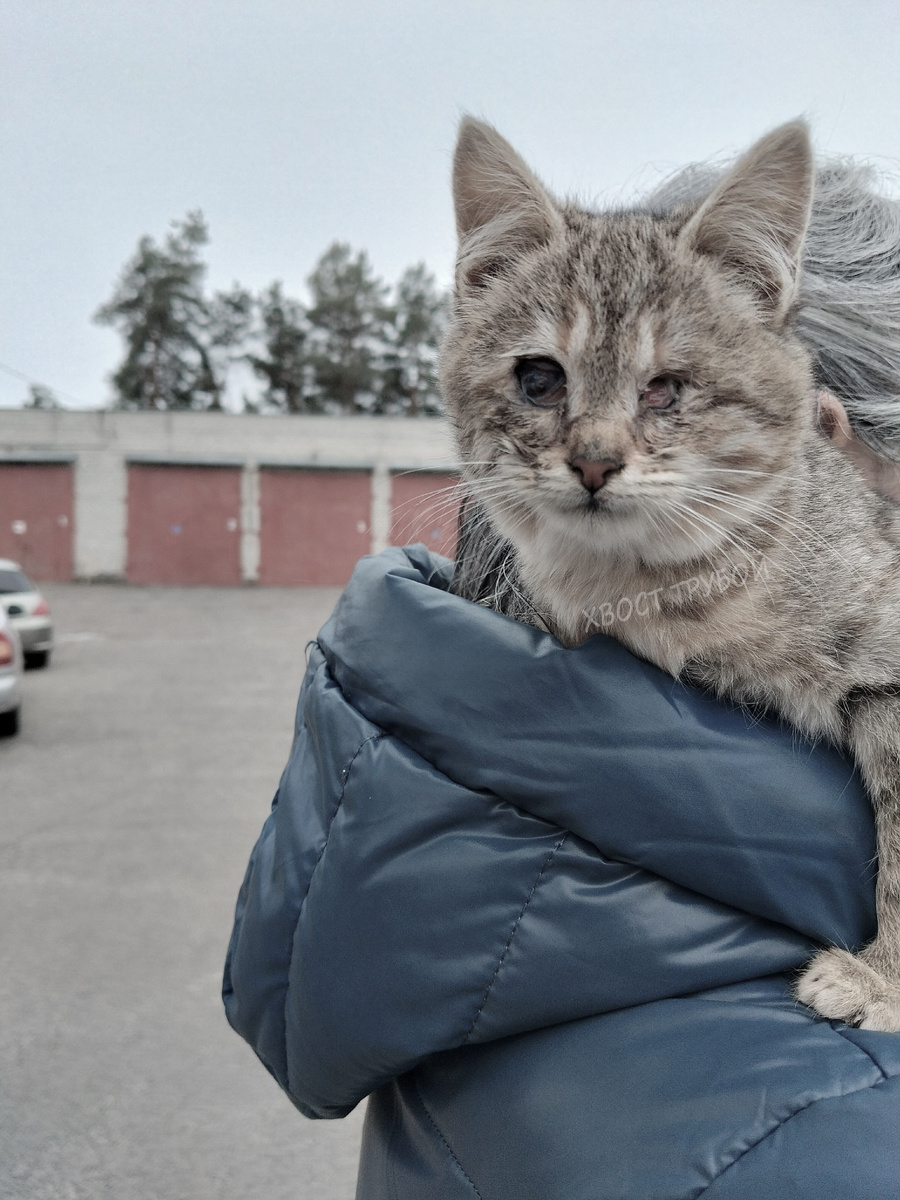 На фото изменена цветокоррекция, чтобы дзен не очень сильно переживал за контент.