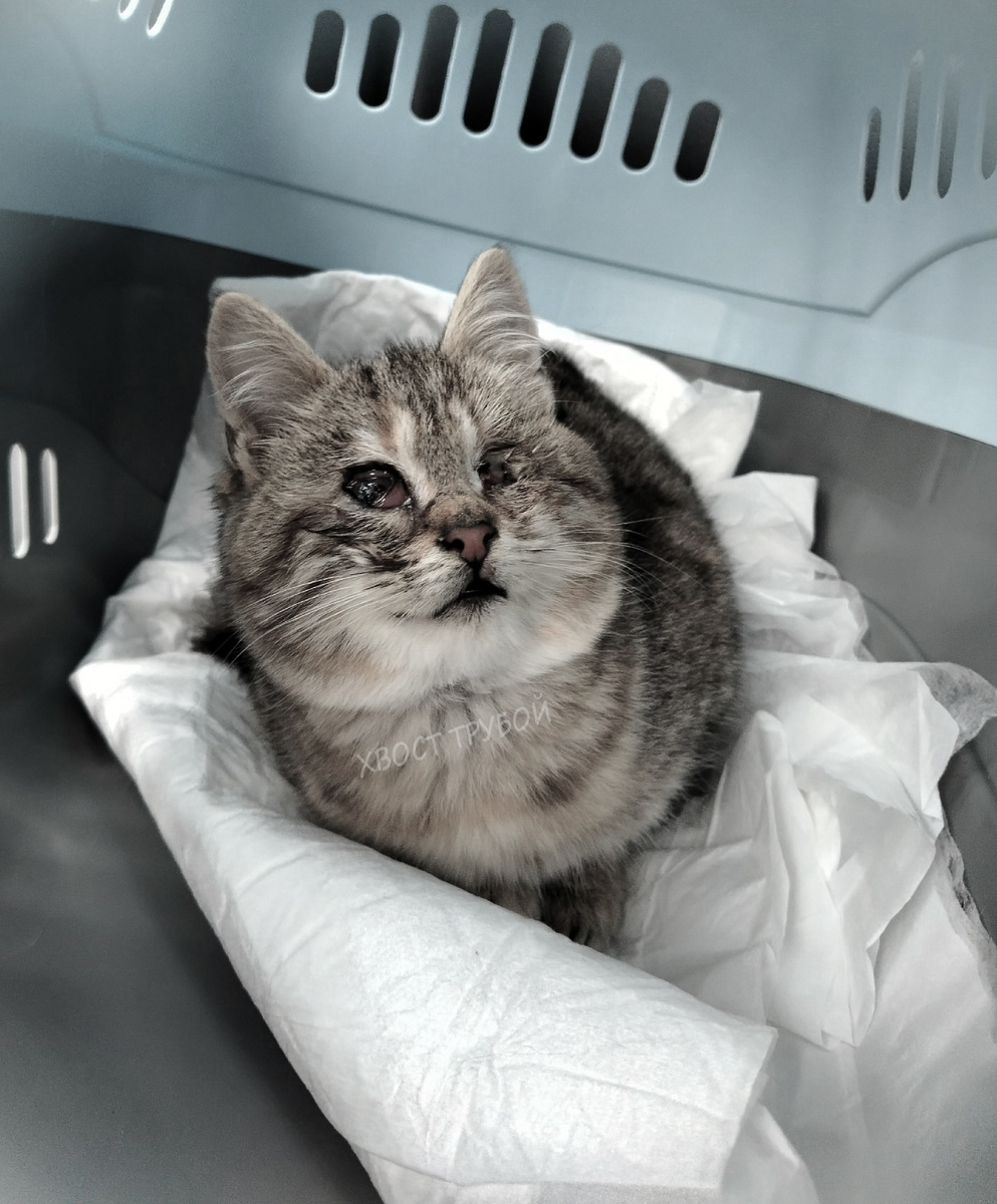 На фото изменена цветокоррекция, чтобы дзен не очень сильно переживал за контент.