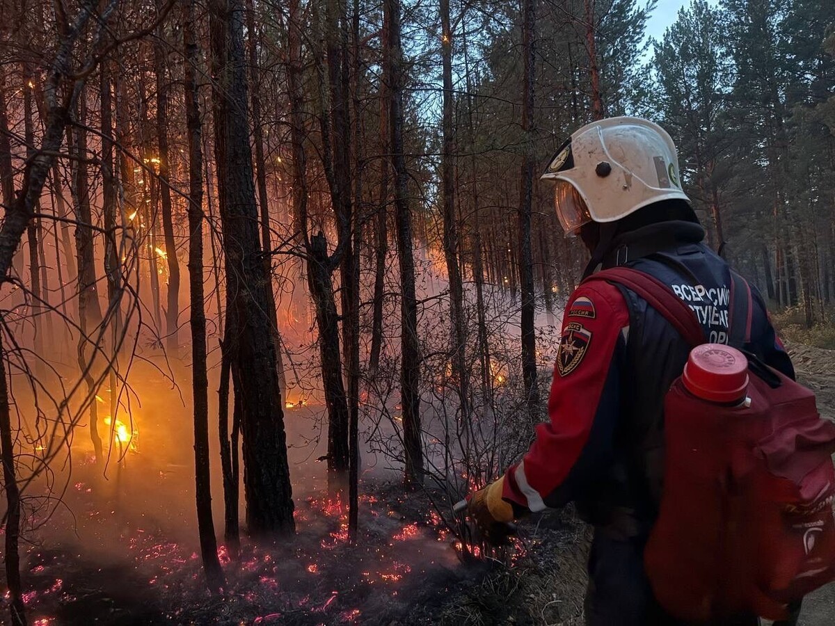    Фото: Пресс-служба правительства Забайкалья   📷   Фото: Пресс-служба правительства Забайкалья   📷   Фото: Пресс-служба правительства Забайкалья   📷   Фото: Пресс-служба правительства Забайкалья