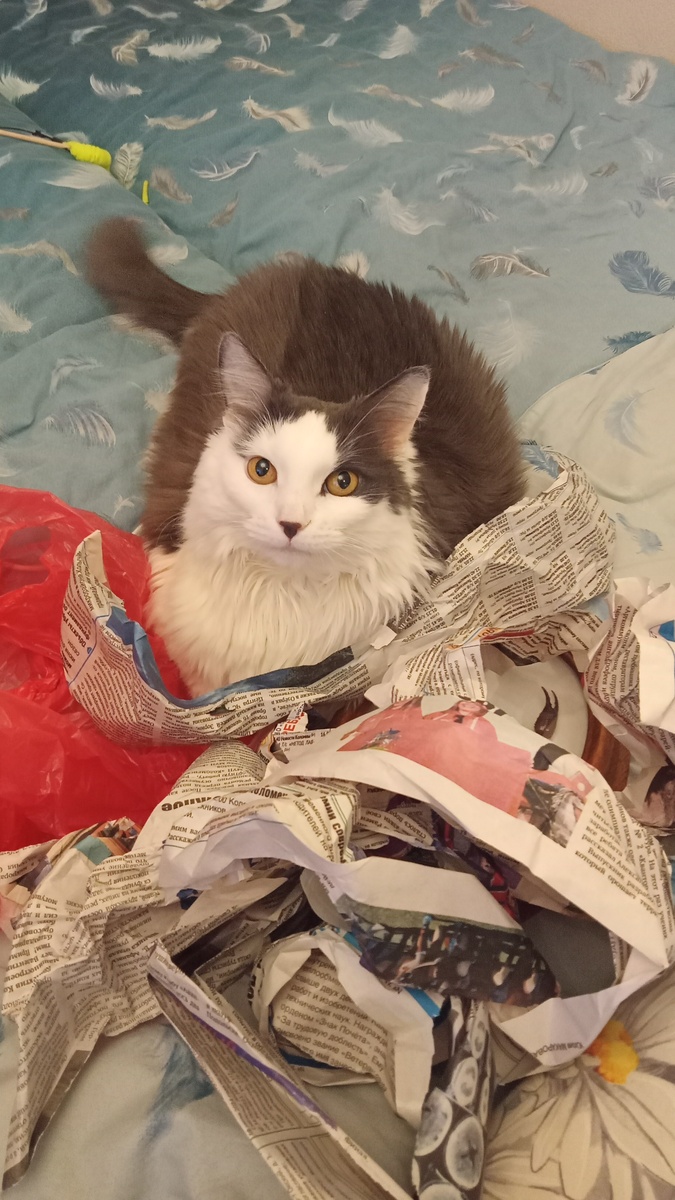 Почитала человечьи новости. Вы рил такие утырки? 