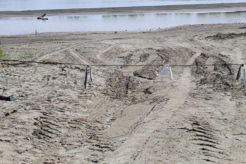    Территория пляжа на острове Помазкин . Источник: Анастасия Осадчая