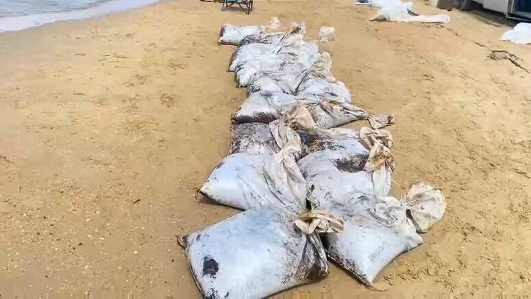    Фото: оперативный штаб Краснодарского края