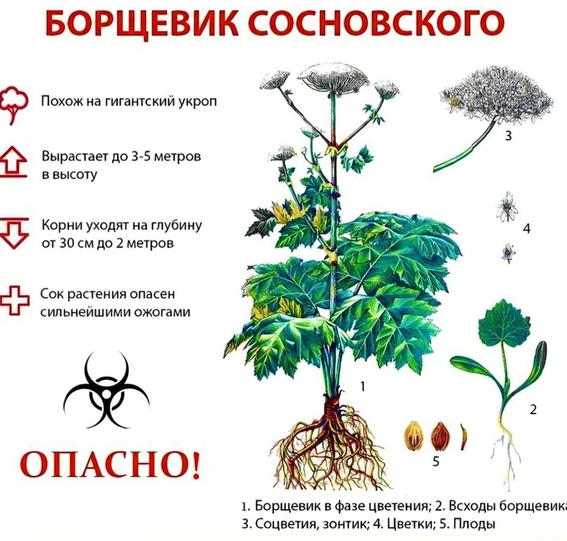 Создать карусельДобавьте описание