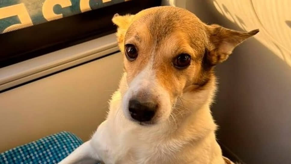 Фото: социальные сети