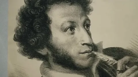 изображение из открытых источников.