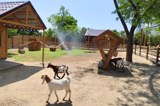    Фото: ЦПКиО