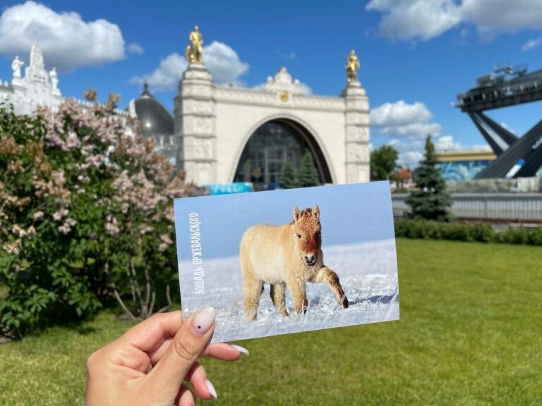    Оренбуржье на туристическом форуме в Москве представит стенд «Влюбляем в степь» Марина Шарт