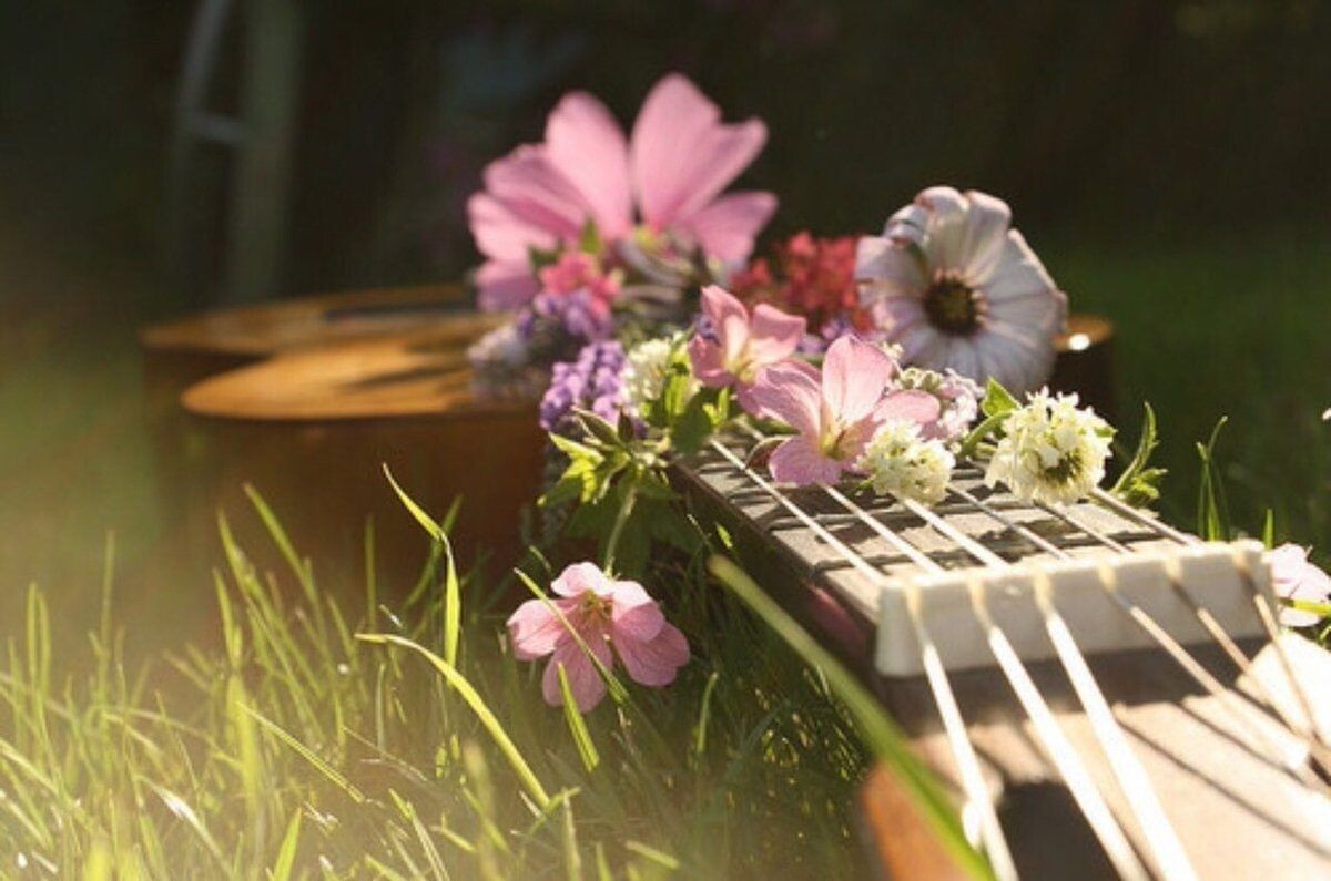 (в иллюстративных целях)