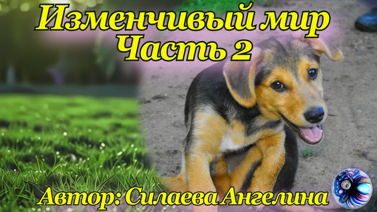 Фото автора