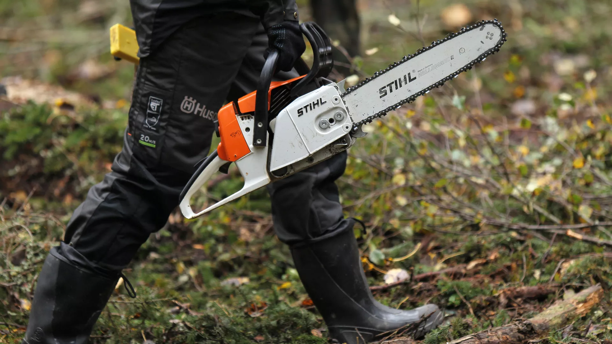 © photo: Sputnik / Konstantin Chalabov