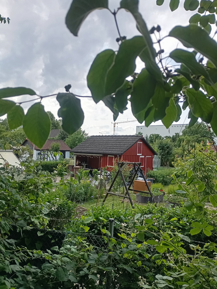 Садовый домик