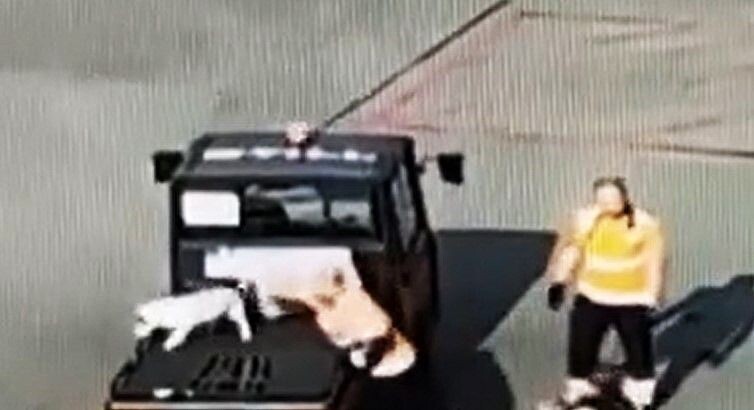     / Источник: Кадр из видео