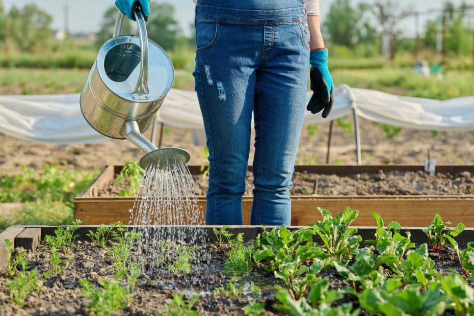    Shutterstock/FOTODOM