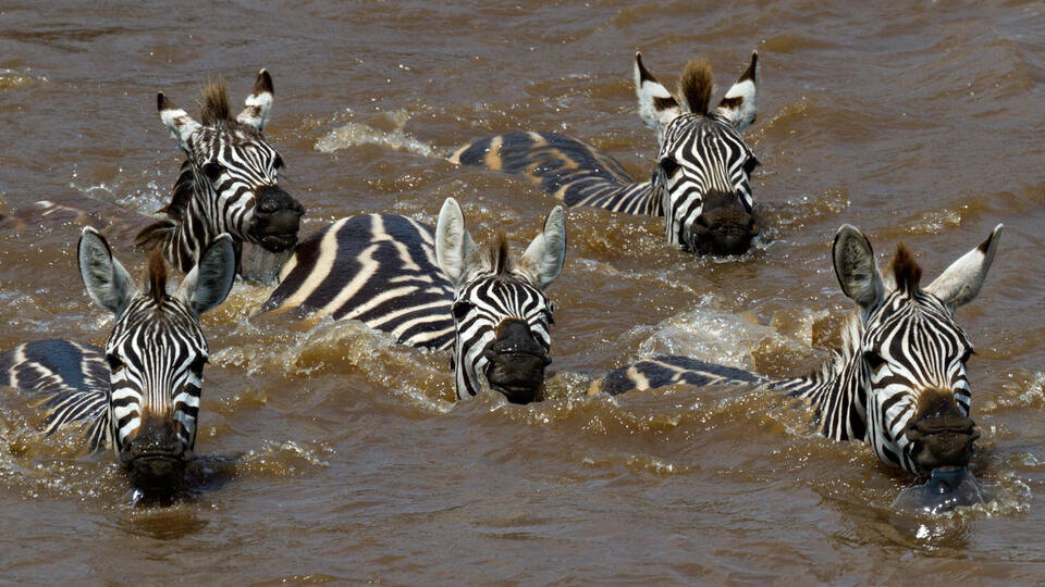 Фото: © www.globallookpress.com/McPHOTO/Pum via www.imago-imag