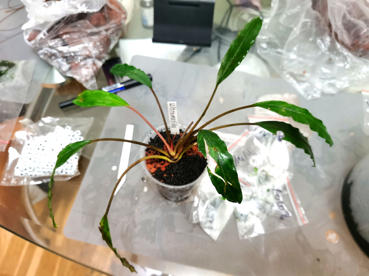 Апрель 2025 г