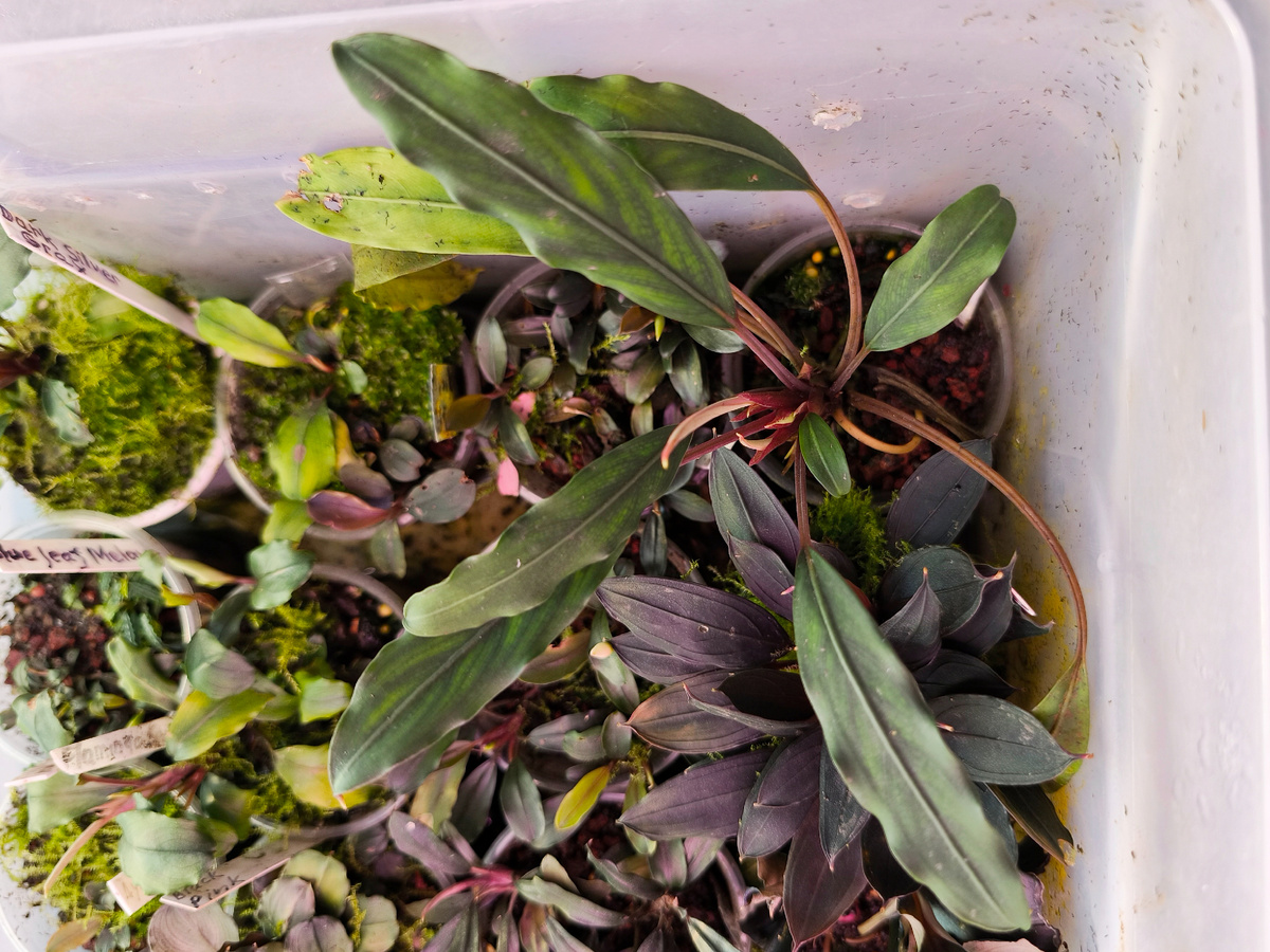 Август 2025 г