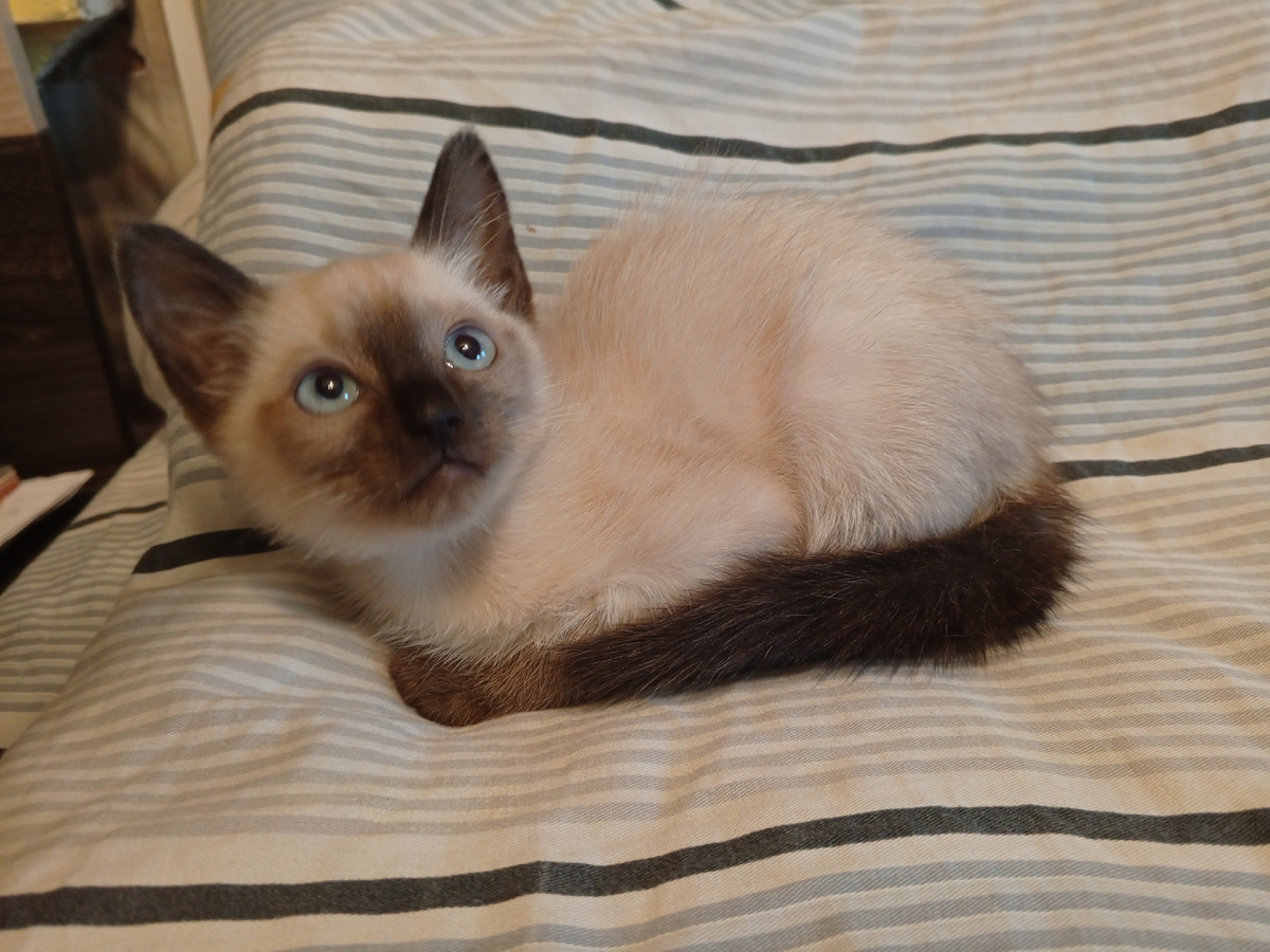 Милашка моя 🥰