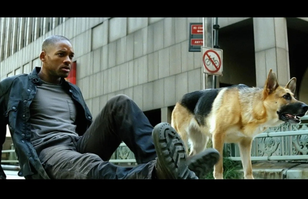 Кадр из фильма 