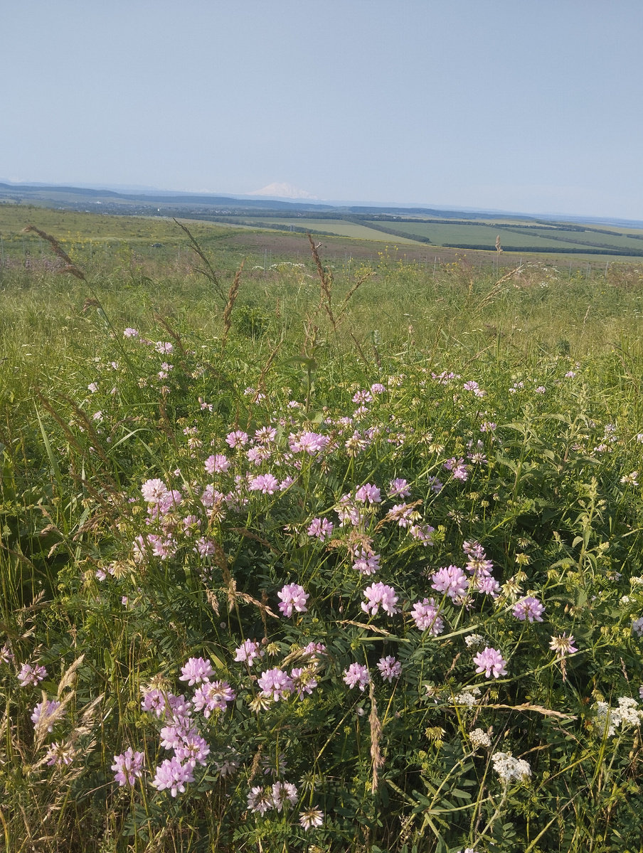 Видите Эльбрус такой маленький на горизонте? На самом деле он большой, камера моя не передаёт этого