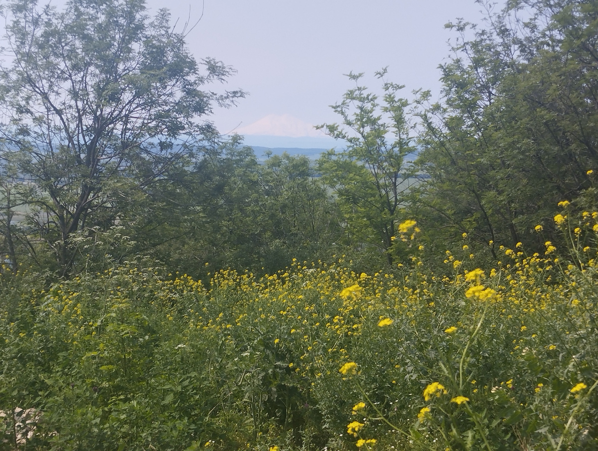 Эльбрус с приближением( увеличьте яркость своих телефонов, и вы его непременно увидите)