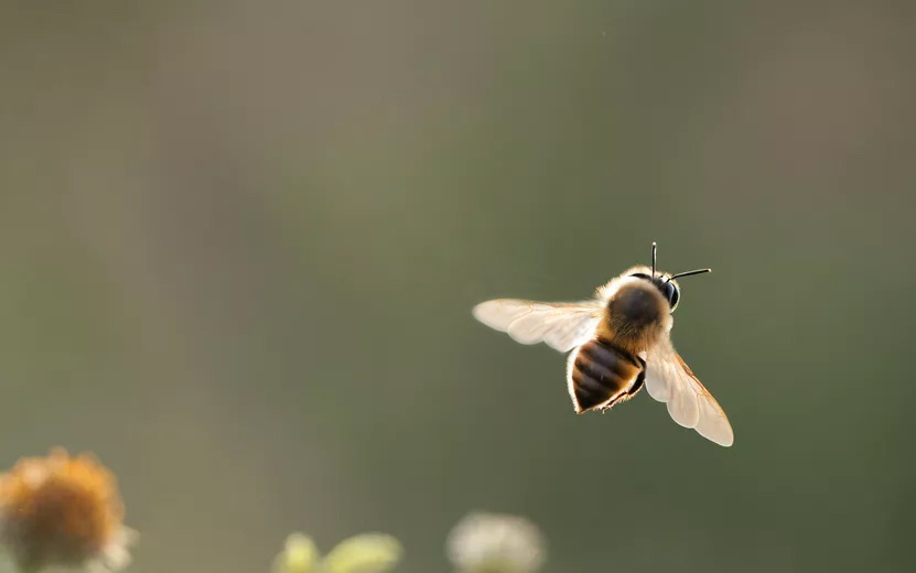    Погода в Ижевске на день: 8 июня ждем до +27°С и грозы