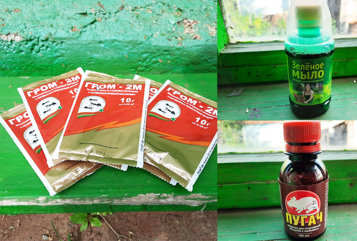 "Сборная" антимуравей