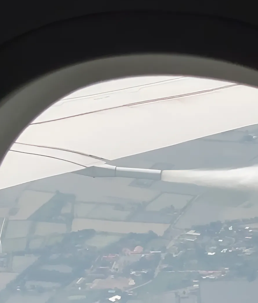 Источник фото: Екатерина Мясникова