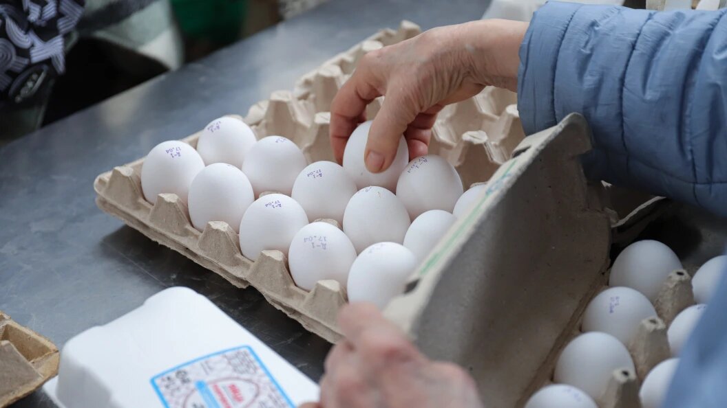    Razmik Zackaryan/Globallookpress