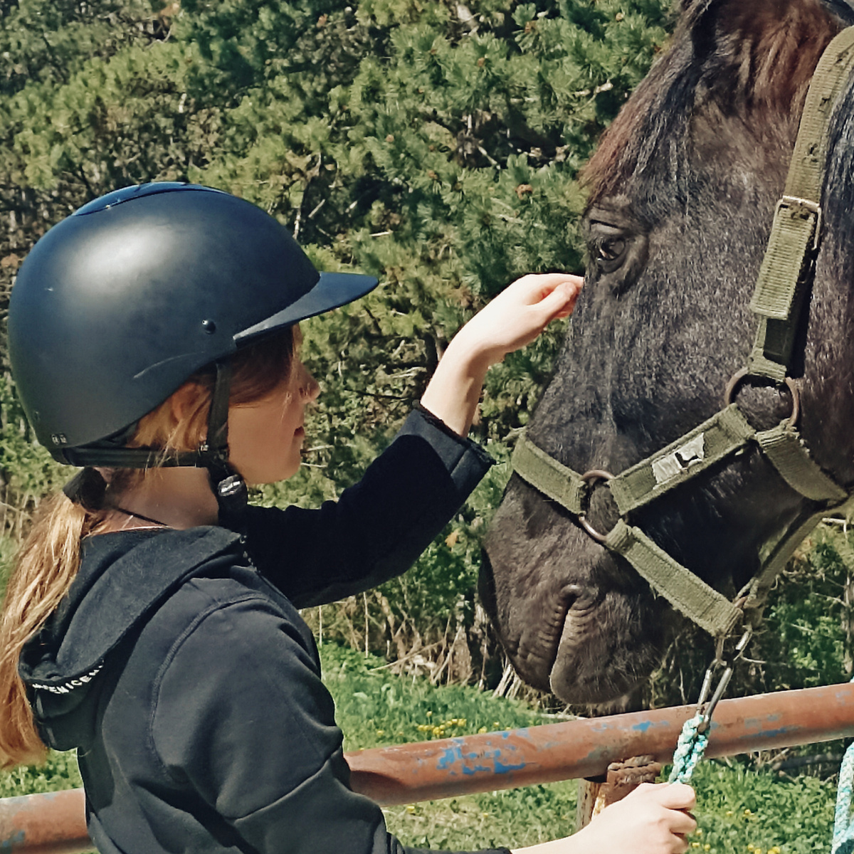 "Огонь" в прямом смысле. Так зовут этого коня. Ессентуки 2025 г. 