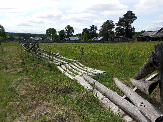 Заросшие поля