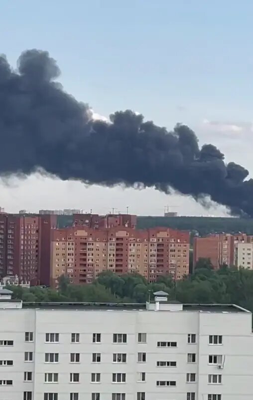    Фото: стоп-кадо видео из телеграм-канала «Типичное Пушкино»