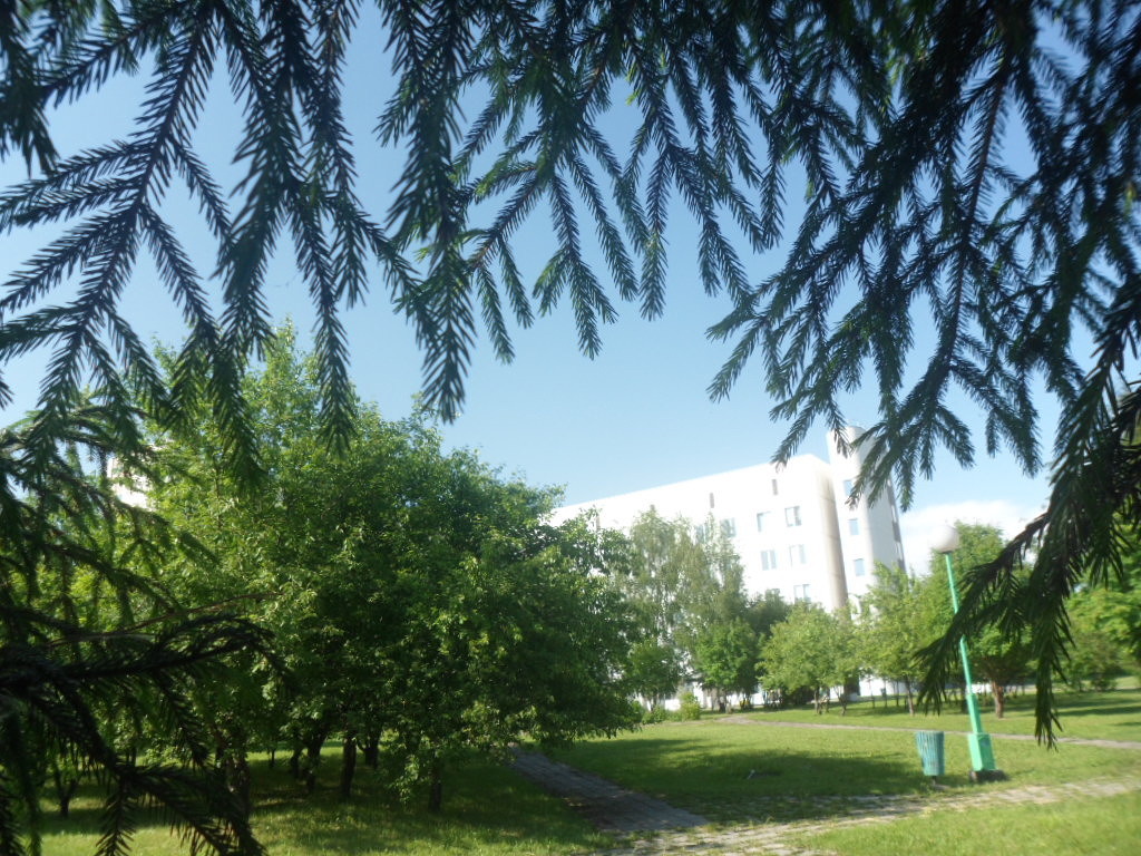 Фото автора 