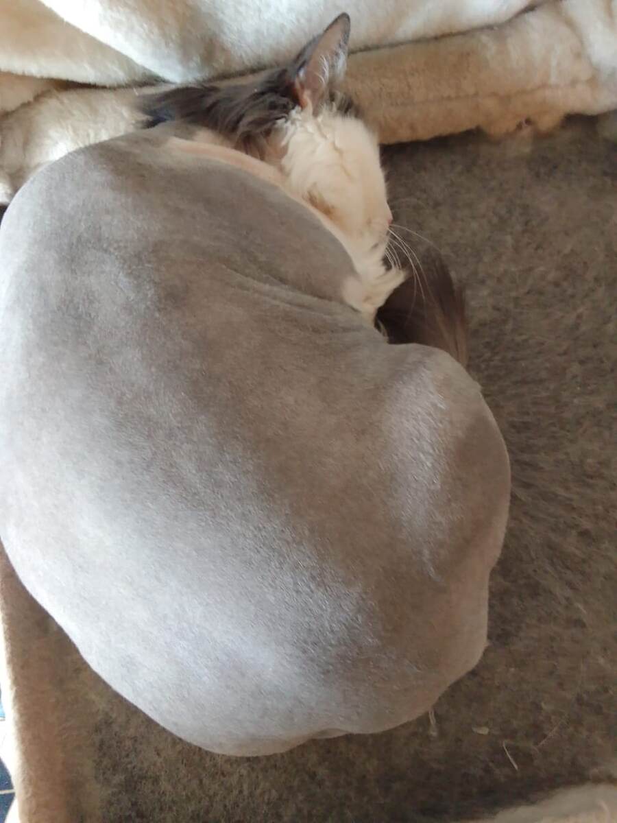 Вам смешно, но это я.