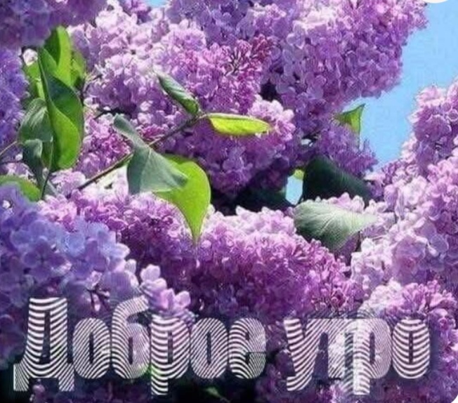 Фото из интернета.