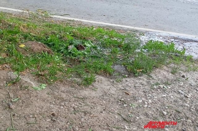    Фото: АиФ/ Денис Федосеев