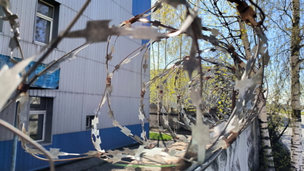    Фото: Maksim Konstantinov/Globallookpress.