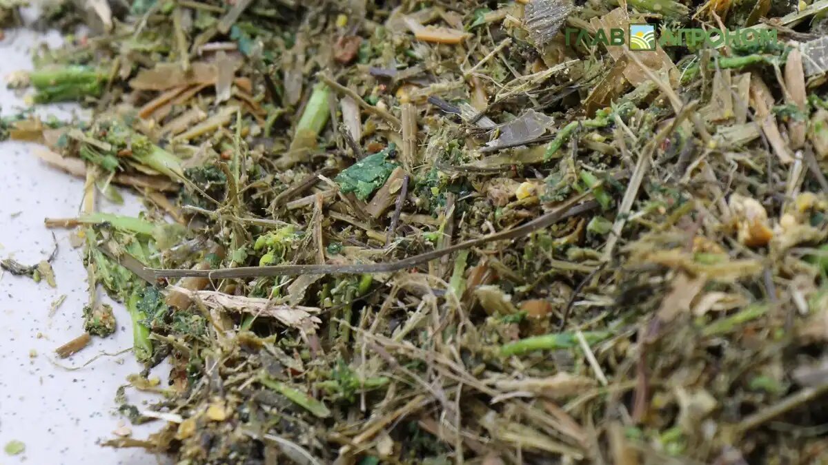 Фото:© Владимир Исаенко / Glavagronom.ru
Россия вошла в ТОП-6 крупнейших производителей кормов в мире