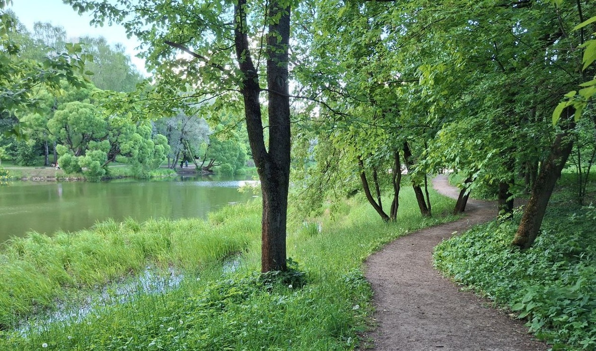 Исследования звука