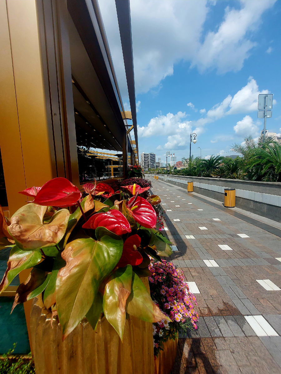 Цветы недалеко от Арбата, у рыбного ресторана Erwin.