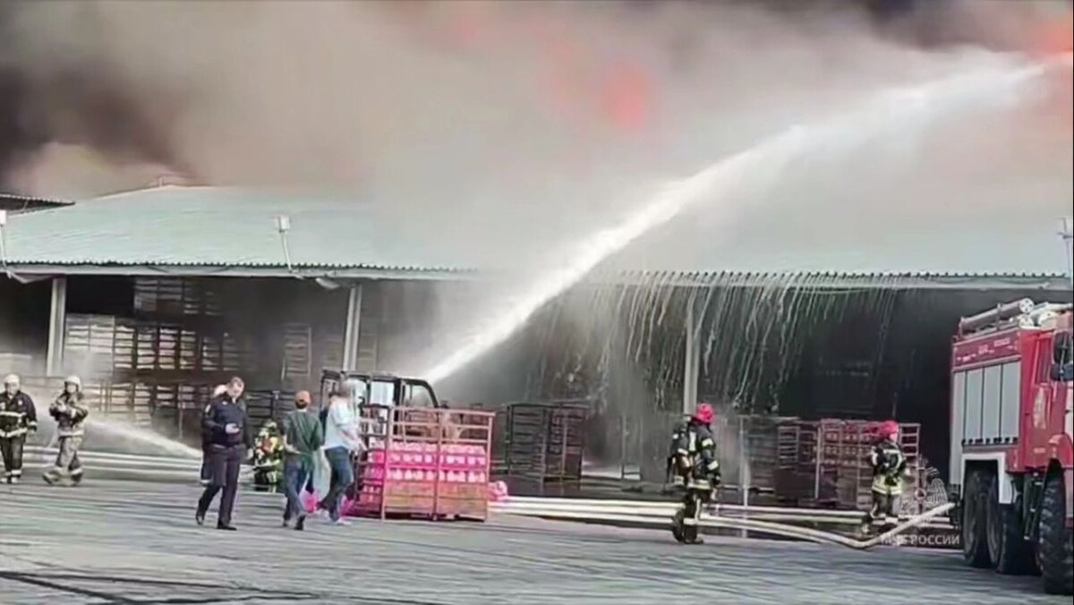    Кадр видео канала МЧС России/t.me