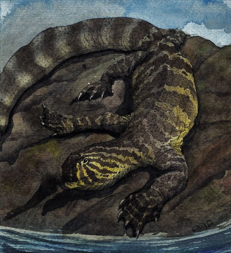 Гельветикозавр лежит на камешке.