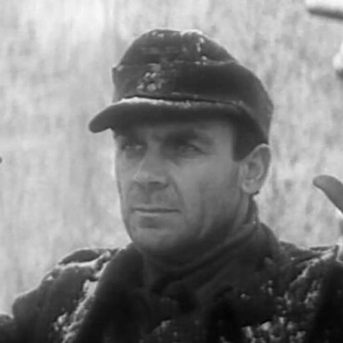 Из открытых истчоников