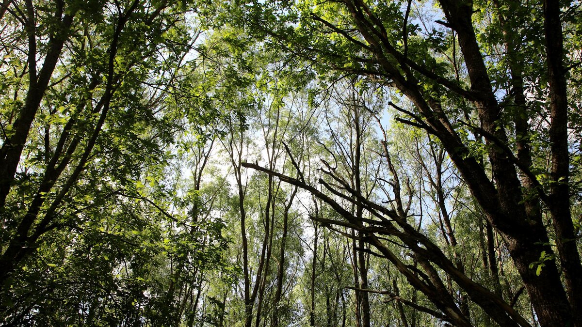    Фото: Maksim Konstantinov/globallookpress.com