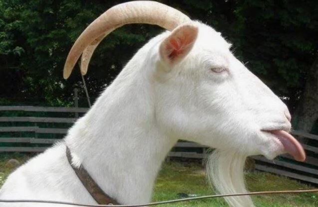 Источник: ЯндексКартинки