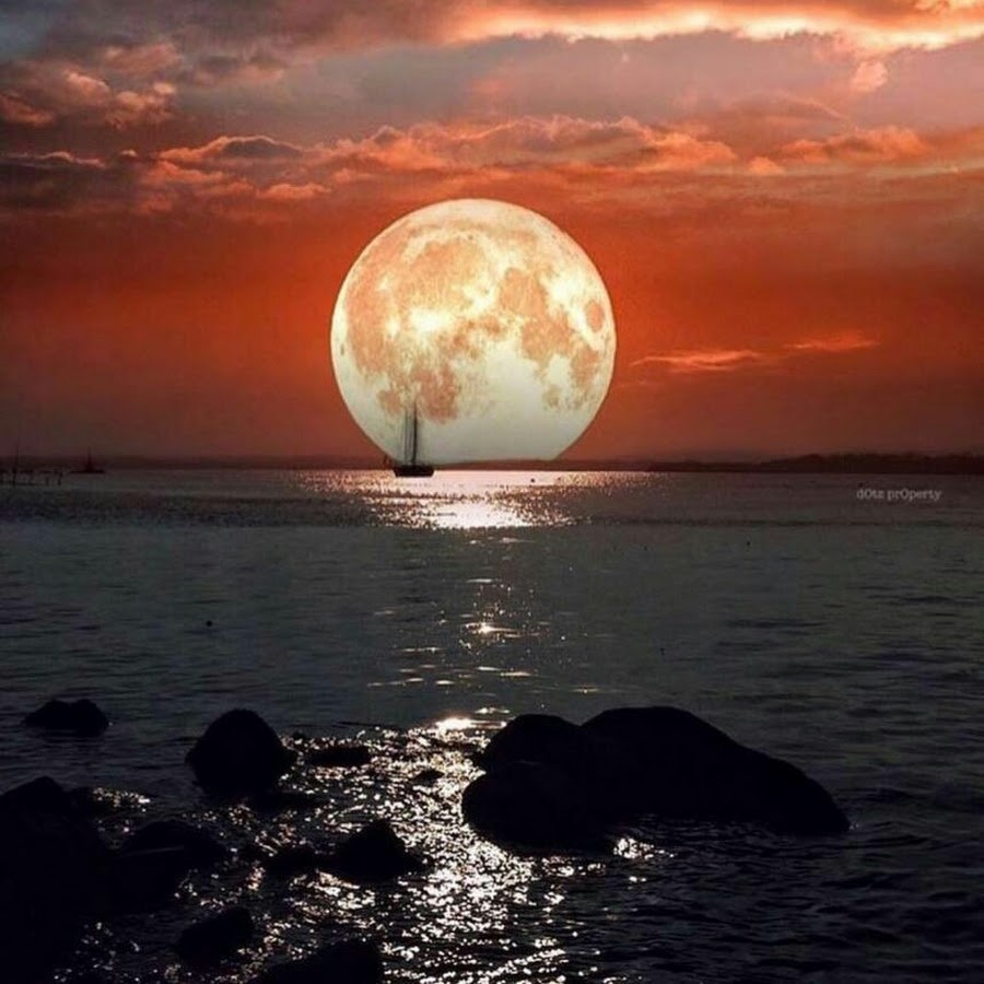 яндекс-картинки